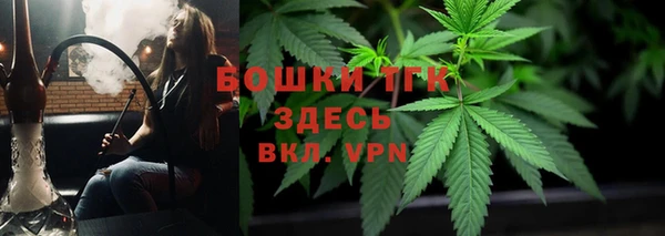 таблы Богородицк