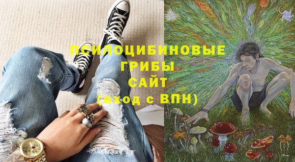 таблы Богородицк