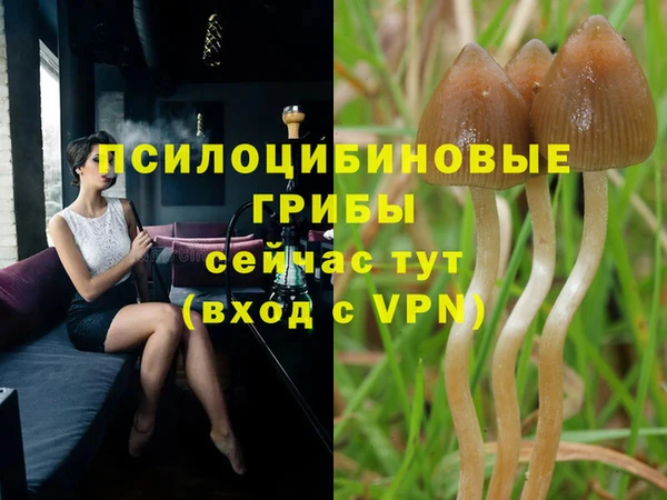 таблы Богородицк