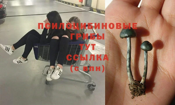 таблы Богородицк