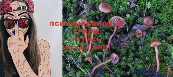 таблы Богородицк